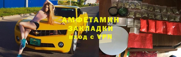 ПСИЛОЦИБИНОВЫЕ ГРИБЫ Арсеньев