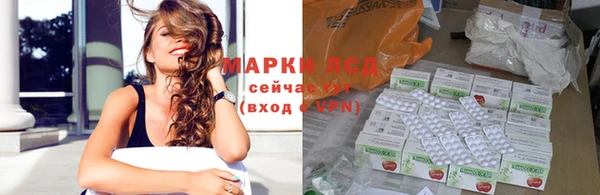 ПСИЛОЦИБИНОВЫЕ ГРИБЫ Арсеньев