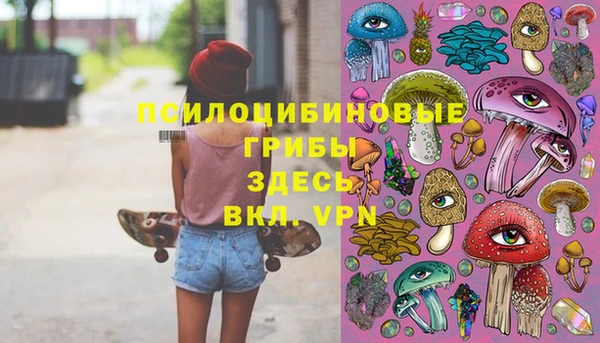 винт Аркадак
