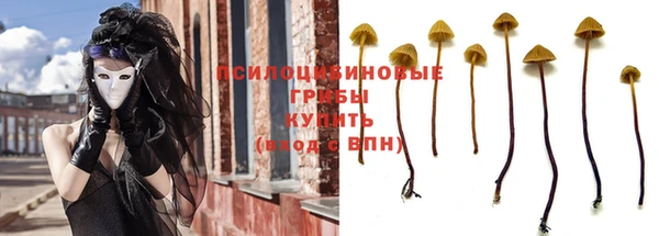 винт Аркадак