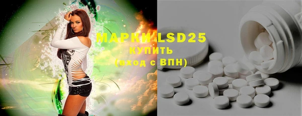 винт Аркадак
