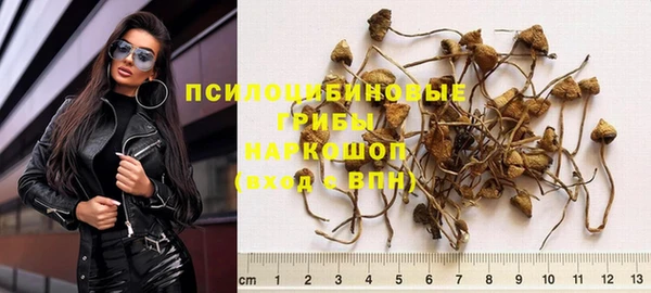 PSILOCYBIN Армянск