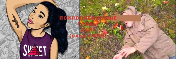 PSILOCYBIN Армянск