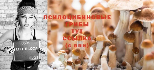 винт Аркадак